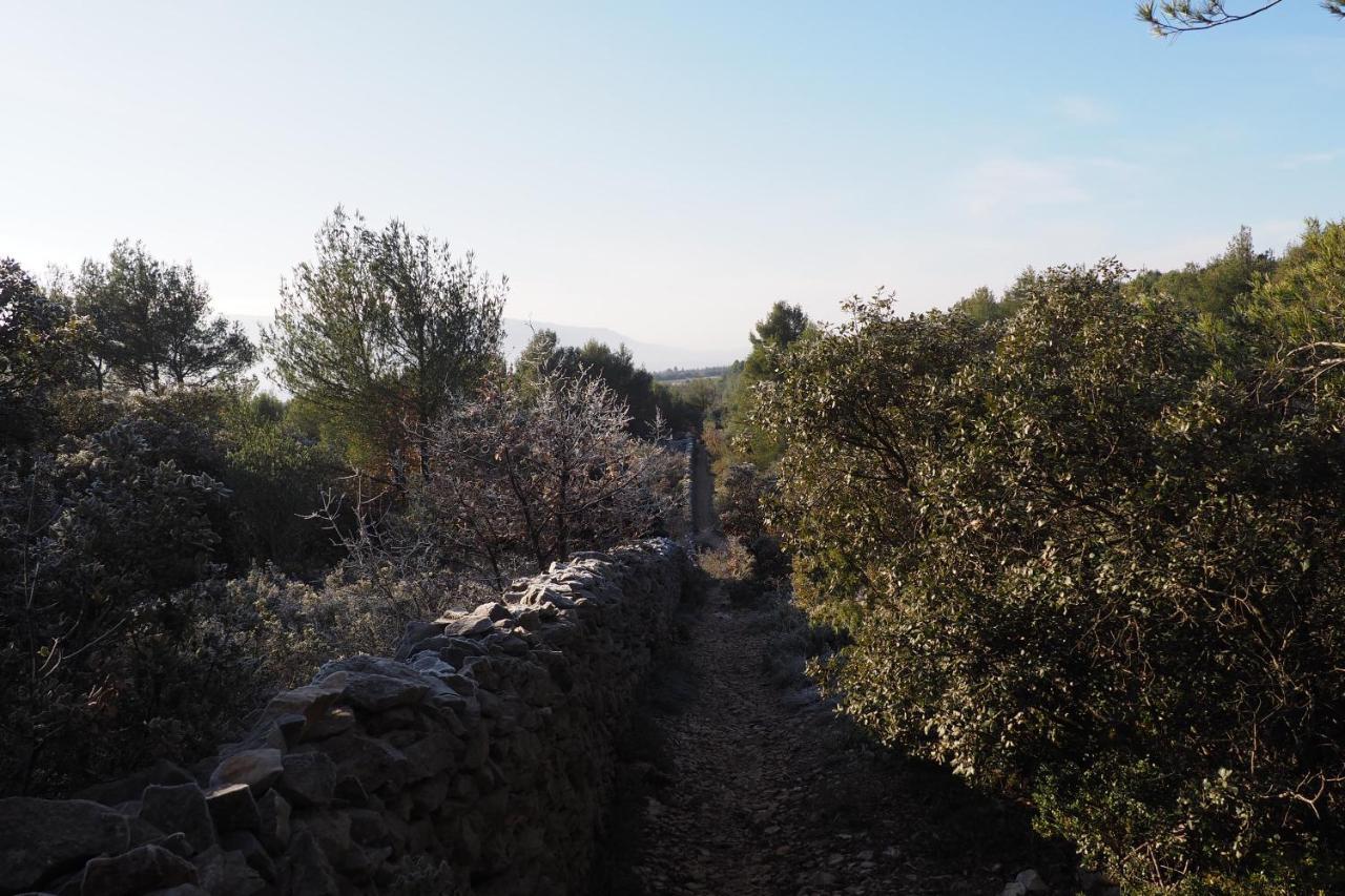Chambres D'Hotes Le Relais Des Marmottes En Luberon Lagnes Exteriér fotografie